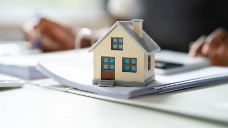 الاستشارات المهنية